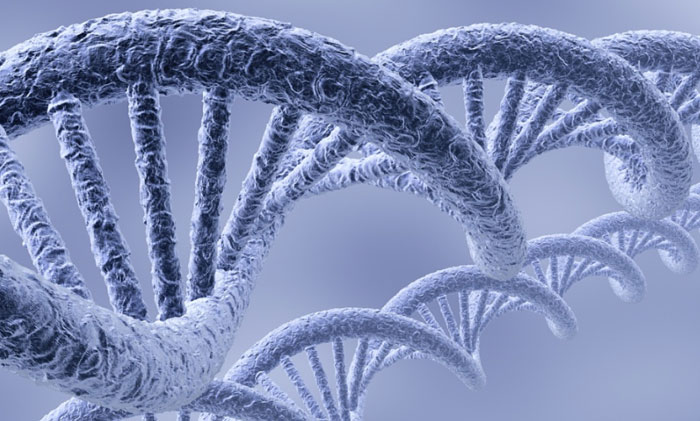 Leatex CP 胶原蛋白整理剂，带给肌肤化妆品般的温柔呵护！