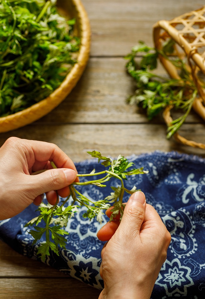 Leatex WO  艾草整理剂